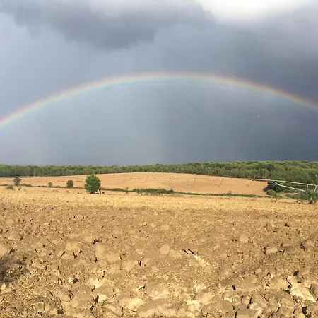Mas Gelabertó Vilobi D'onyar