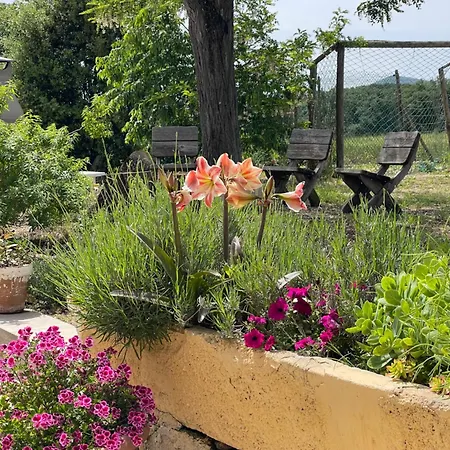 Willa Mas Gelaberto *